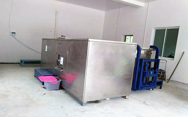 微生物有机麻豆一区二区三区系统